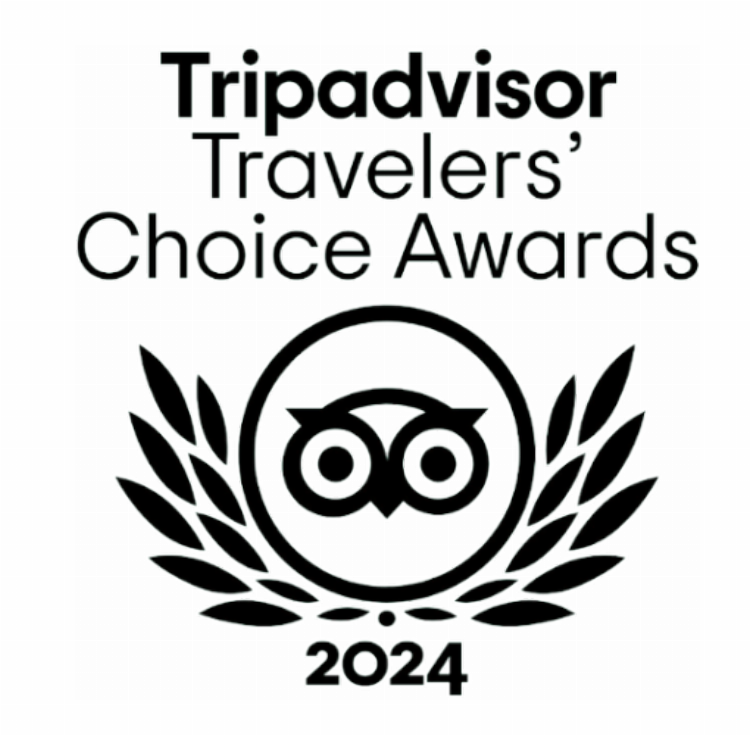 TripAdvisor-Awards-2023-2024-1024x502.png